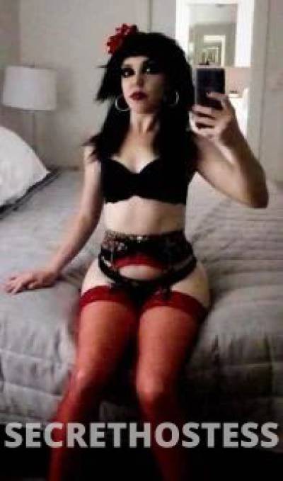 Lindsay 23Yrs Old Escort Tamworth Image - 7