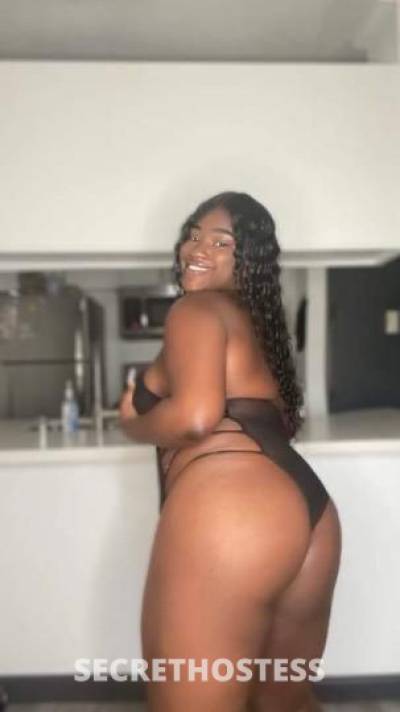 Luna 20Yrs Old Escort Bradenton FL Image - 0