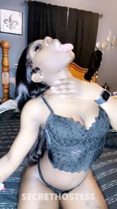 MINIKAT 24Yrs Old Escort Louisville KY Image - 4