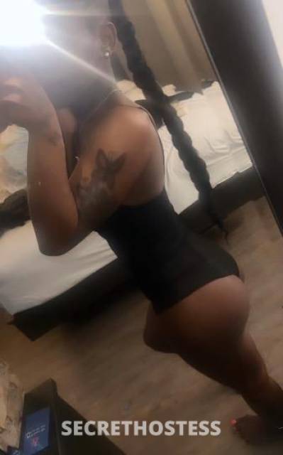 MINIKAT 24Yrs Old Escort Louisville KY Image - 10