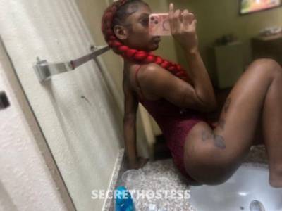 Reese’s 22Yrs Old Escort Memphis TN Image - 11