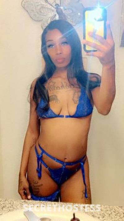 Rose 25Yrs Old Escort Bakersfield CA Image - 3