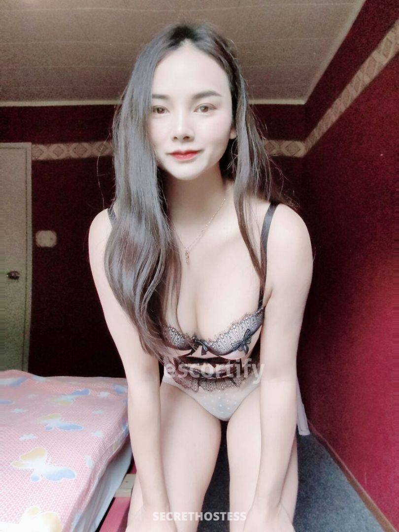 Gina 20Yrs Old Escort Auckland Image - 0