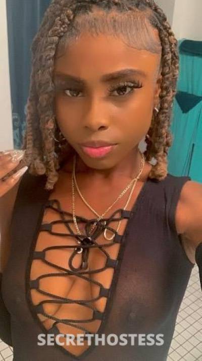 20Yrs Old Escort San Antonio TX Image - 2