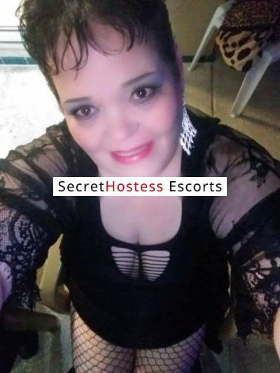 22Yrs Old Escort 165CM Tall Tampa FL Image - 3