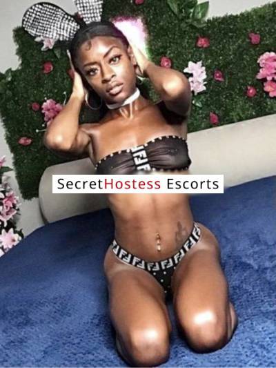 22Yrs Old Escort 49KG 165CM Tall Houston TX Image - 18