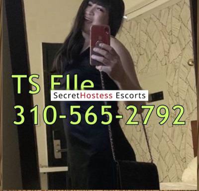 23Yrs Old Escort 56KG 165CM Tall San Diego CA Image - 1