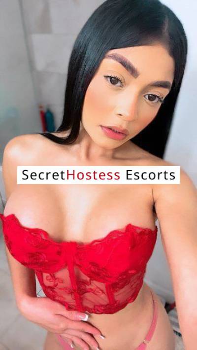 23 Year Old Colombian Escort Miami FL - Image 3