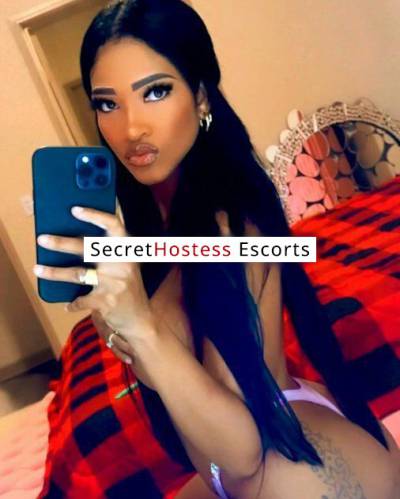 24 Year Old Chinese Escort Chicago IL - Image 4