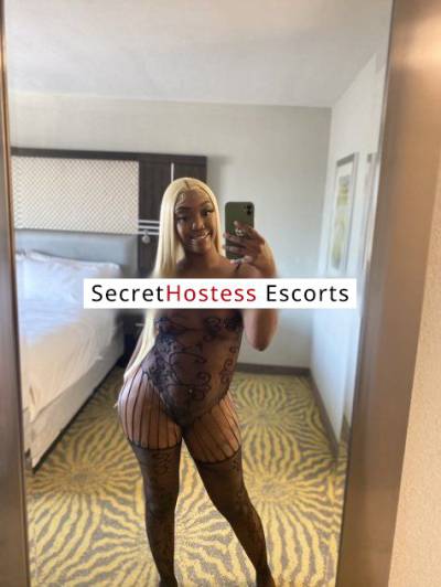 24Yrs Old Escort 165CM Tall Dallas TX Image - 0