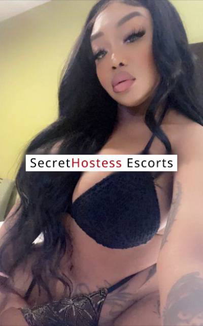 25Yrs Old Escort 63KG 154CM Tall San Jose CA Image - 2