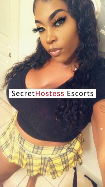 25Yrs Old Escort Dallas TX Image - 10