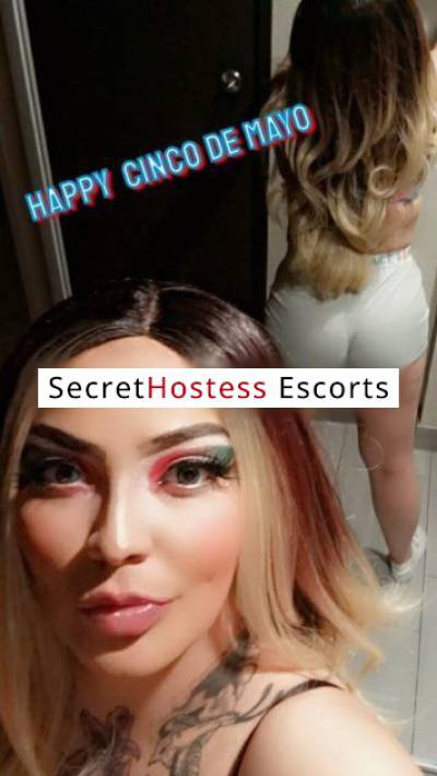 25Yrs Old Escort 60KG 165CM Tall Denver CO Image - 12