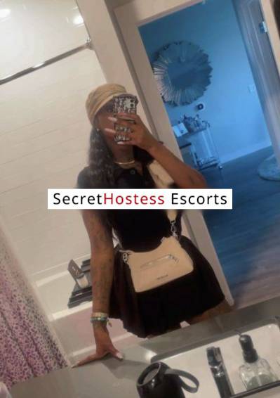 25Yrs Old Escort 68KG 172CM Tall Orlando FL Image - 18