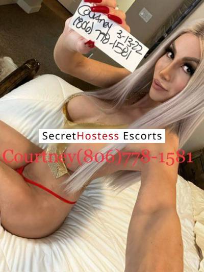 25Yrs Old Escort 61KG 175CM Tall Austin TX Image - 1