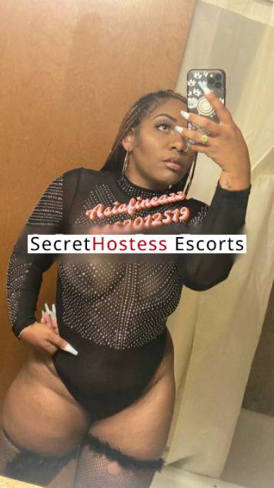 27Yrs Old Escort 77KG 160CM Tall Houston TX Image - 18