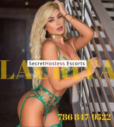 27Yrs Old Escort 57KG 167CM Tall Tampa FL Image - 0