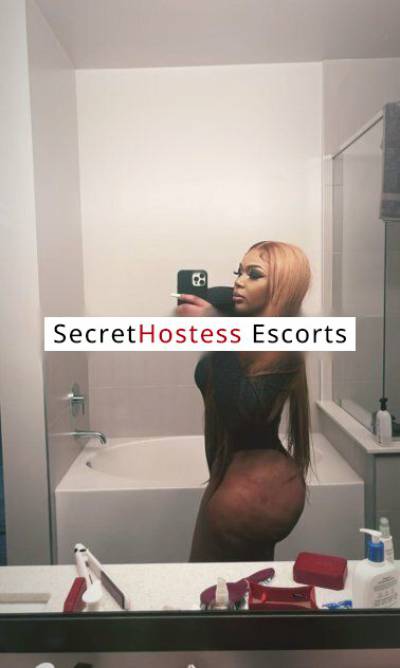 27Yrs Old Escort 68KG 165CM Tall Houston TX Image - 1