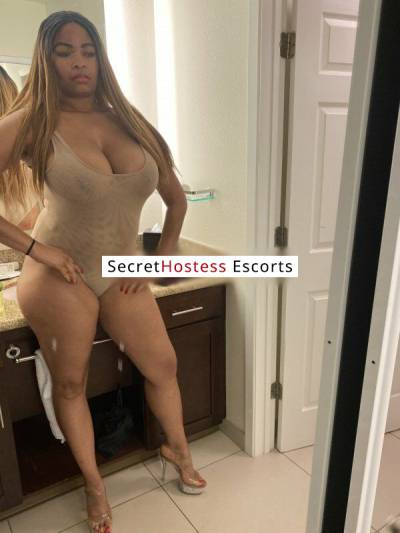 31Yrs Old Escort Dallas TX Image - 4