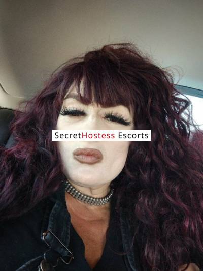 38Yrs Old Escort 67KG 165CM Tall Phoenix AZ Image - 0