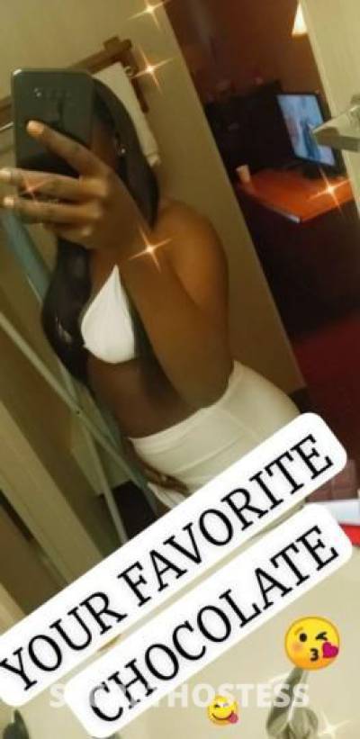 Amber 24Yrs Old Escort Madison WI Image - 6