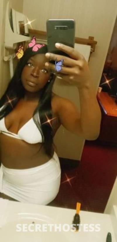 Amber 24Yrs Old Escort Madison WI Image - 1