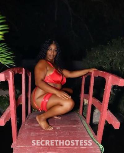 Ashley 31Yrs Old Escort Hampton VA Image - 3