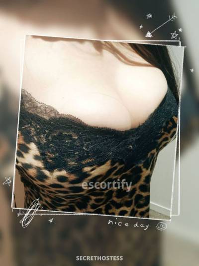 24 Year Old Escort Auckland - Image 7