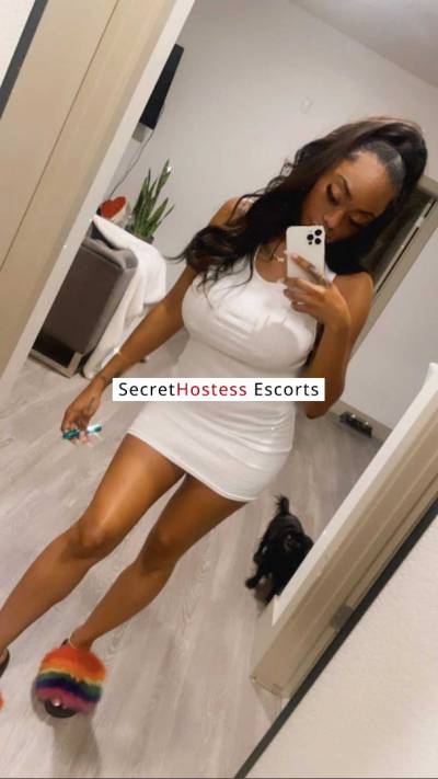 Cynthia 28Yrs Old Escort Chicago IL Image - 0