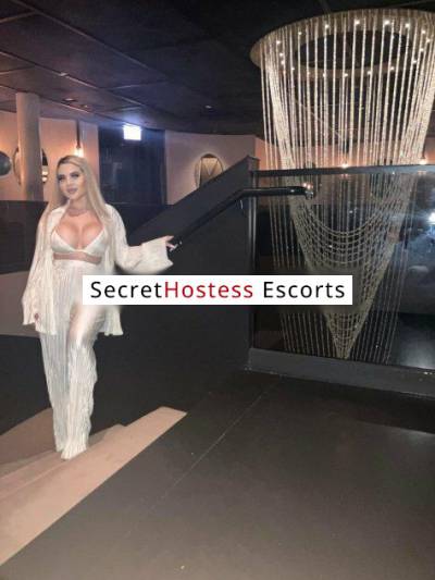 22 Year Old Escort San Jose CA Blonde - Image 2