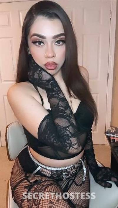 Jinx 21Yrs Old Escort Seattle WA Image - 10