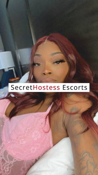 Kayla 27Yrs Old Escort 63KG 170CM Tall Schaumburg IL Image - 9