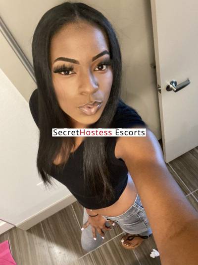 Madison 26Yrs Old Escort 58KG 170CM Tall San Diego CA Image - 3