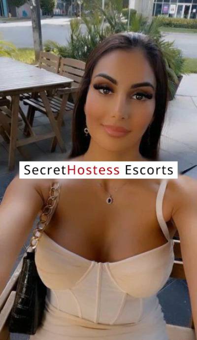 23 Year Old European Escort Miami FL - Image 4