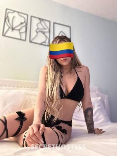 27 Year Old Colombian Escort New York City NY - Image 2