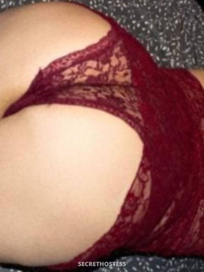 ☆HONEY-OASIS☆ 30Yrs Old Escort Size 10 Christchurch Image - 1