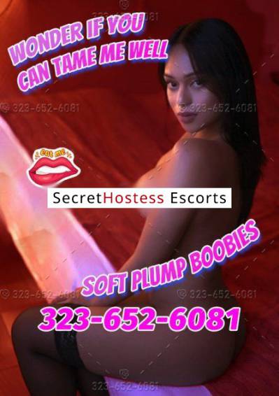 23Yrs Old Escort Denver CO Image - 0