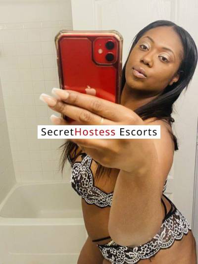 25Yrs Old Escort 170CM Tall Alexandria VA Image - 15