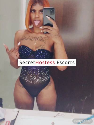 26Yrs Old Escort 64KG 175CM Tall Fort Lauderdale FL Image - 5