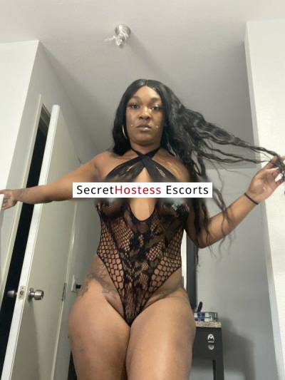 26Yrs Old Escort 81KG 165CM Tall Los Angeles CA Image - 1