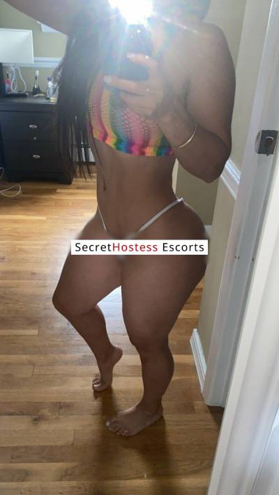 29Yrs Old Escort 157CM Tall San Jose CA Image - 1