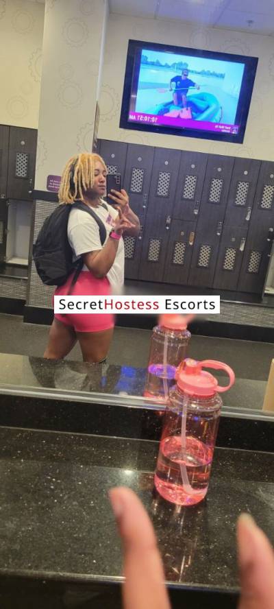 29Yrs Old Escort 167CM Tall Tampa FL Image - 0