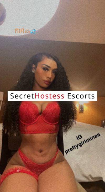 Amina 23Yrs Old Escort Size 24 62KG 167CM Tall Seattle WA Image - 2