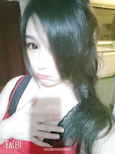 23 Year Old Asian Escort Auckland Brown Hair Brown eyes - Image 4