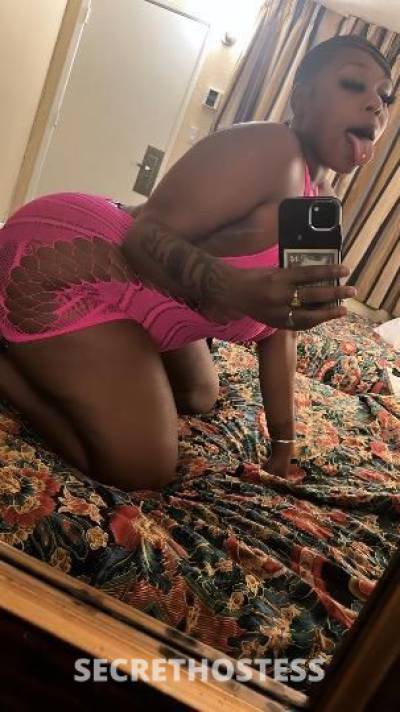 Aries 23Yrs Old Escort North Bay CA Image - 5