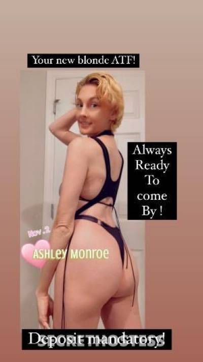 AshleyMonroe 36Yrs Old Escort Orlando FL Image - 6