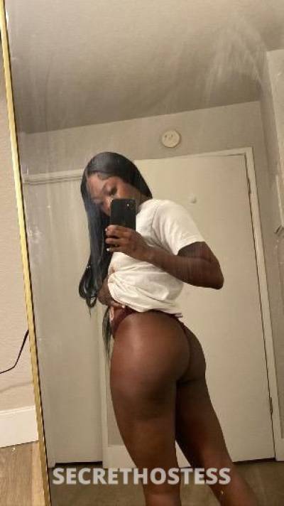 Ava 23Yrs Old Escort Stockton CA Image - 1