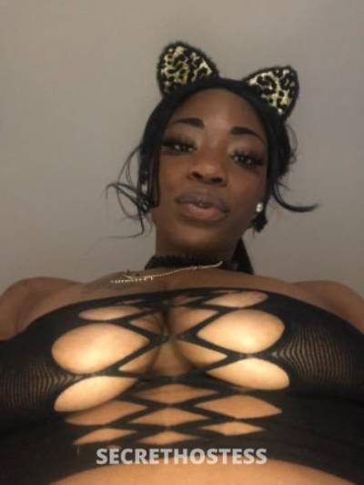 BONNIEBANKS 32Yrs Old Escort Southern Maryland DC Image - 6