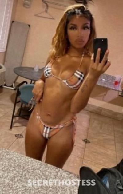 Cassie 23Yrs Old Escort San Diego CA Image - 3