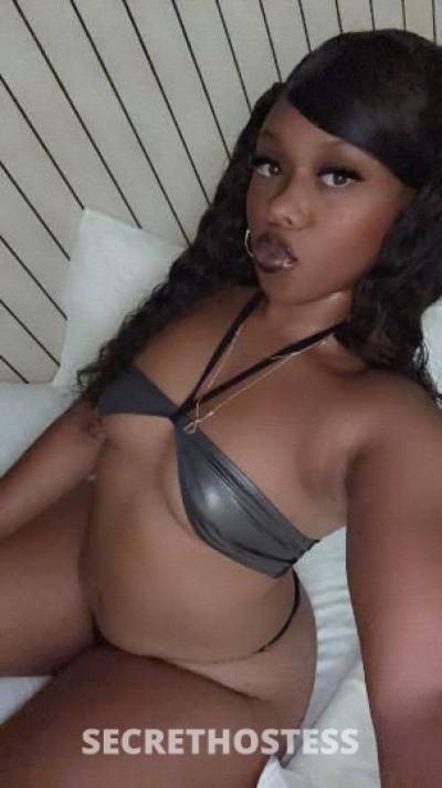 Celeste 21Yrs Old Escort San Diego CA Image - 0